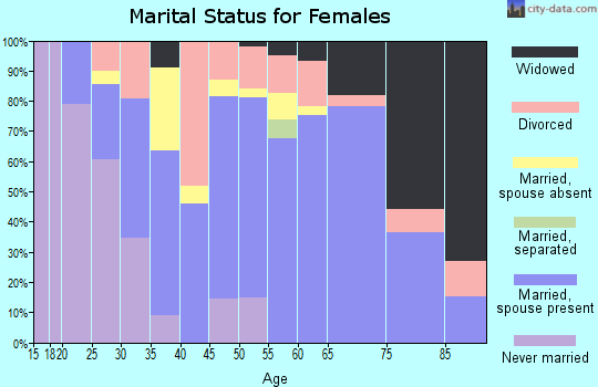 Zip code 13320 marital status for females