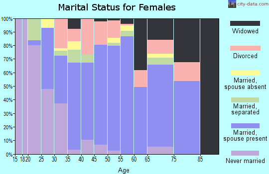 Zip code 13324 marital status for females
