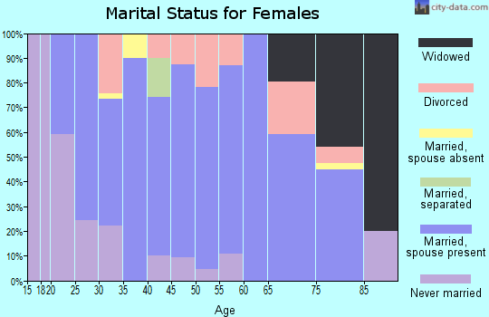 Zip code 13327 marital status for females