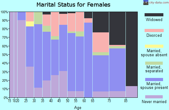 Zip code 13329 marital status for females