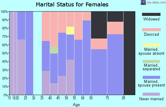 Zip code 13338 marital status for females