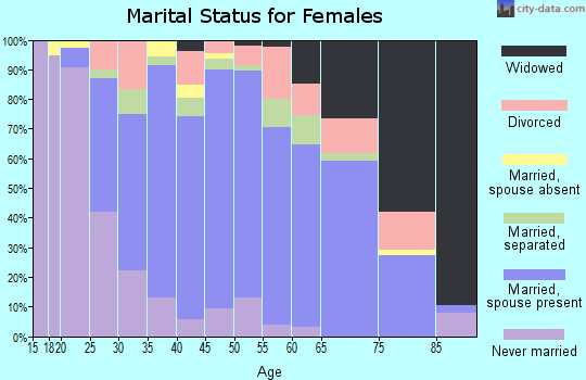 Zip code 13339 marital status for females