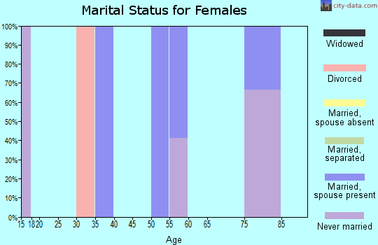 Zip code 13341 marital status for females