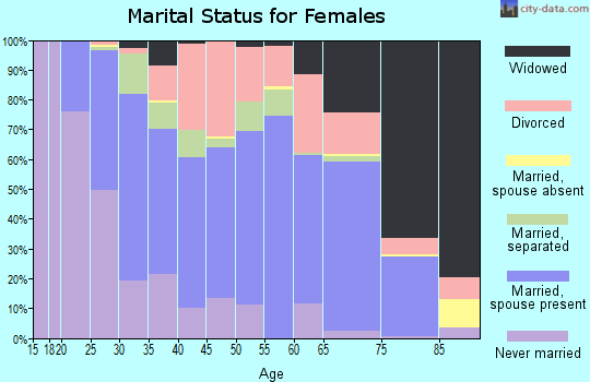 Zip code 13357 marital status for females