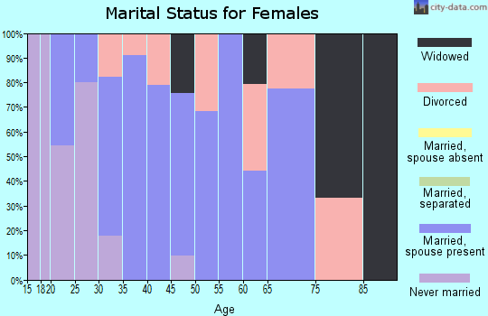 Zip code 13361 marital status for females