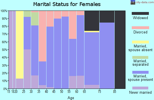 Zip code 13402 marital status for females