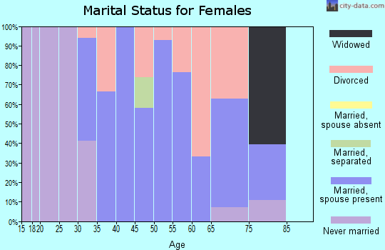 Zip code 13406 marital status for females