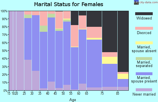 Zip code 13413 marital status for females