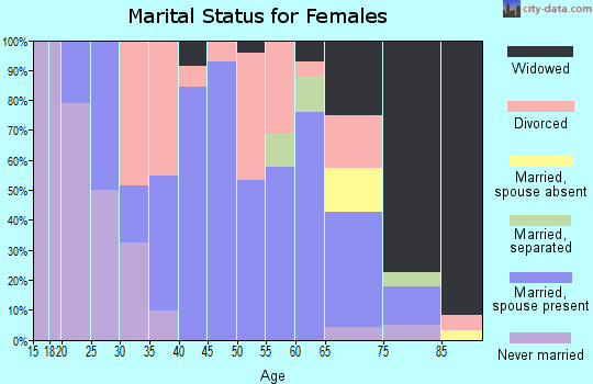 Zip code 13428 marital status for females