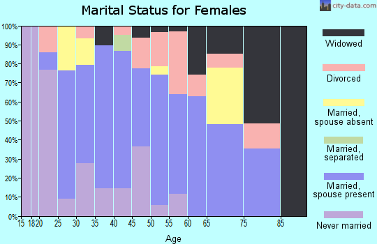 Zip code 13433 marital status for females