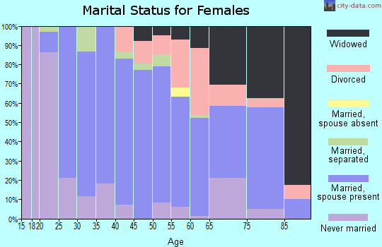 Zip code 13460 marital status for females