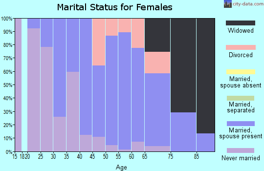 Zip code 13461 marital status for females