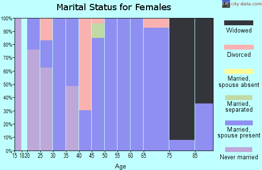 Zip code 13478 marital status for females