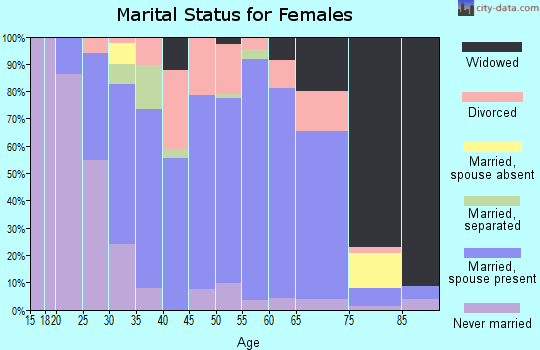 Zip code 13480 marital status for females