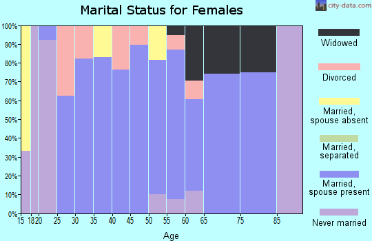 Zip code 13485 marital status for females