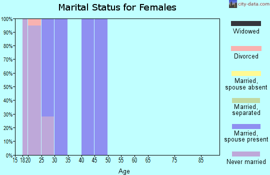 Zip code 13602 marital status for females