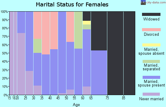 Zip code 13606 marital status for females