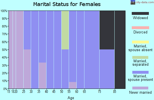 Zip code 13633 marital status for females