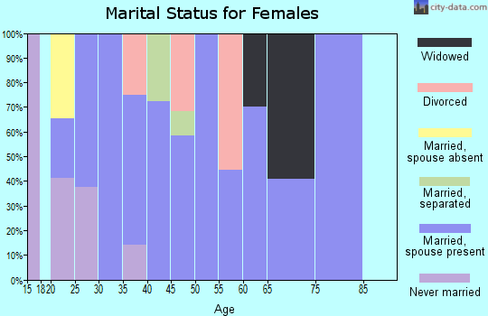 Zip code 13665 marital status for females
