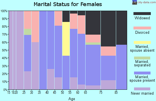 Zip code 13731 marital status for females