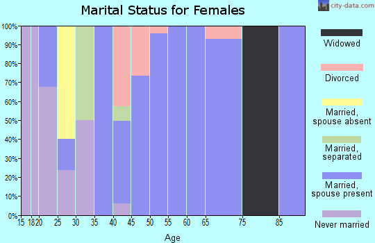 Zip code 13734 marital status for females