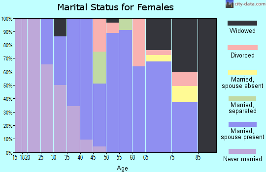 Zip code 13746 marital status for females