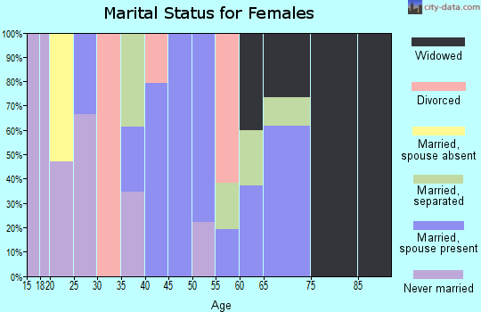 Zip code 13777 marital status for females