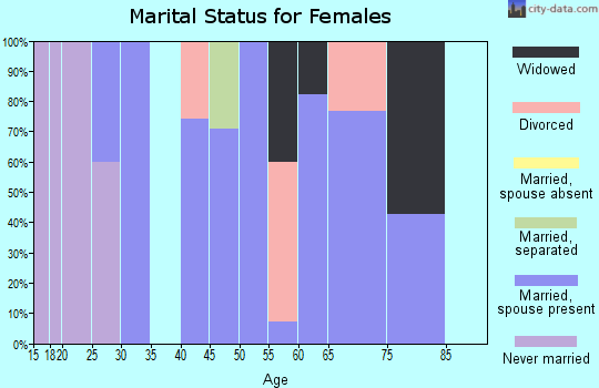 Zip code 13780 marital status for females