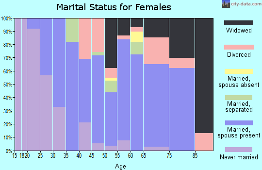 Zip code 13783 marital status for females