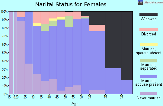 Zip code 13803 marital status for females