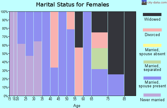 Zip code 13804 marital status for females