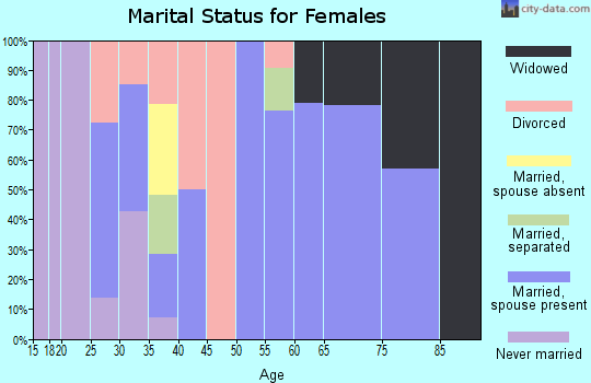 Zip code 13809 marital status for females