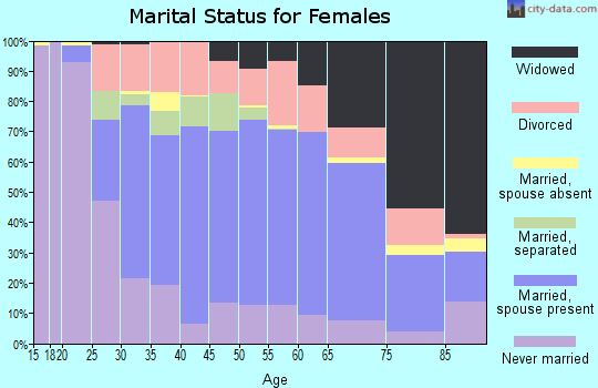 Zip code 13815 marital status for females