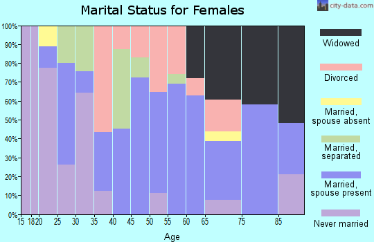 Zip code 13838 marital status for females