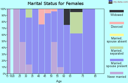 Zip code 13839 marital status for females
