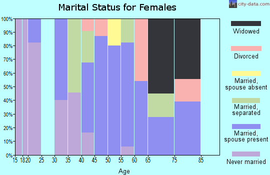 Zip code 13841 marital status for females