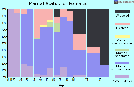 Zip code 13849 marital status for females