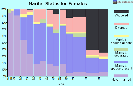 Zip code 13901 marital status for females