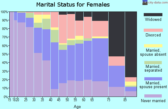 Zip code 13905 marital status for females