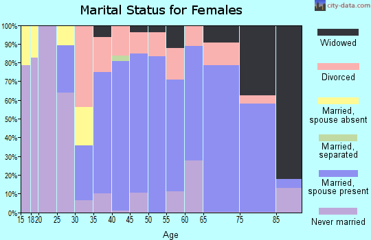 Zip code 14001 marital status for females