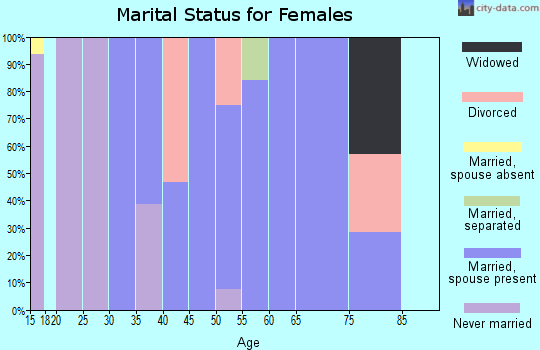 Zip code 14028 marital status for females