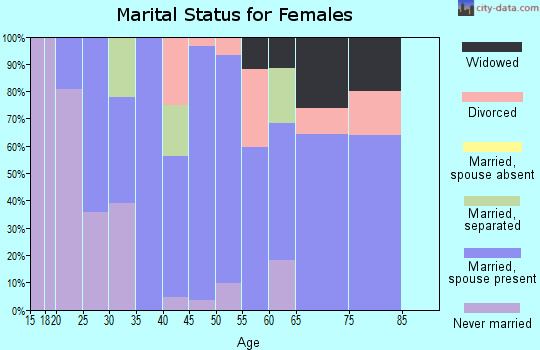 Zip code 14030 marital status for females