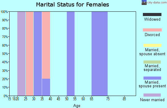 Zip code 14039 marital status for females