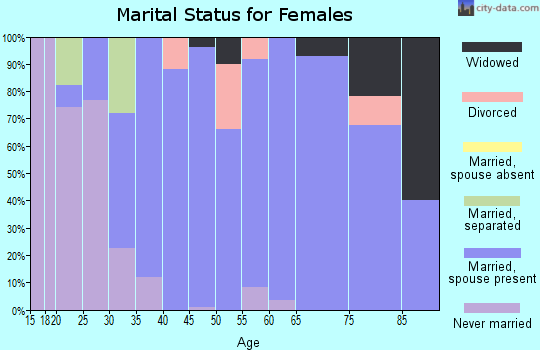 Zip code 14040 marital status for females