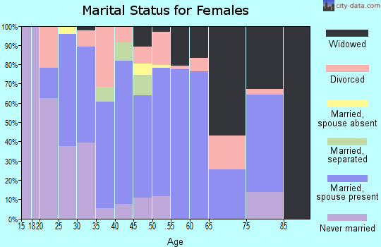 Zip code 14042 marital status for females