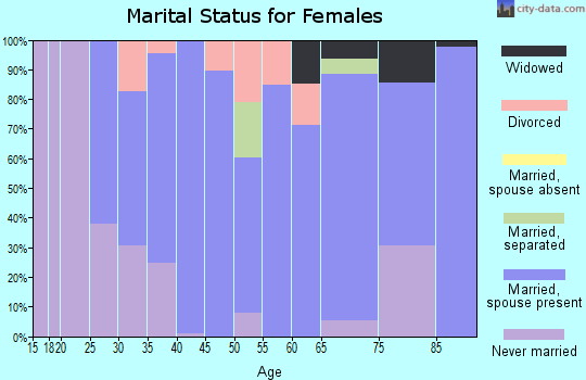 Zip code 14080 marital status for females