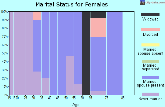 Zip code 14091 marital status for females