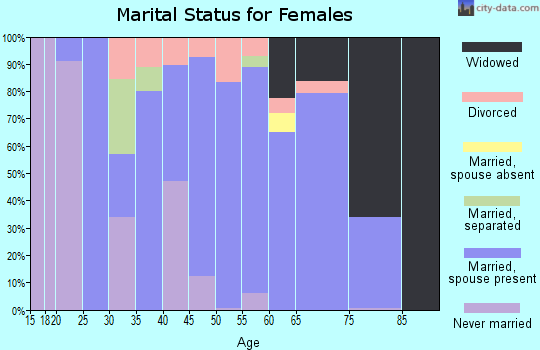 Zip code 14131 marital status for females