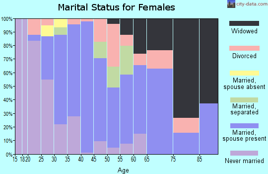 Zip code 14132 marital status for females