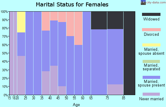 Zip code 14139 marital status for females